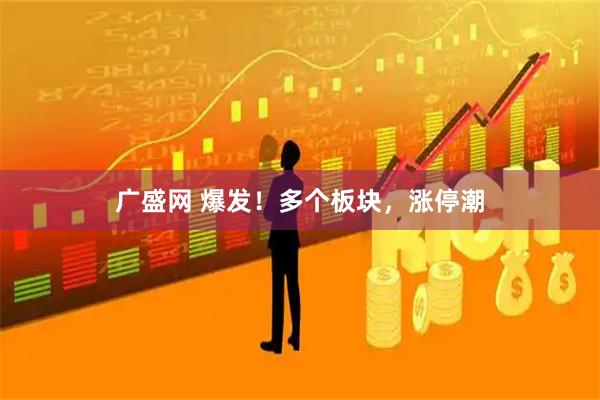 广盛网 爆发！多个板块，涨停潮