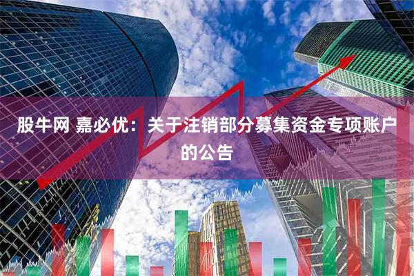 股牛网 嘉必优：关于注销部分募集资金专项账户的公告