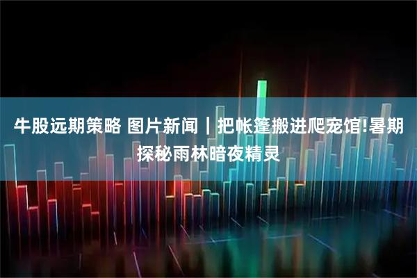 牛股远期策略 图片新闻｜把帐篷搬进爬宠馆!暑期探秘雨林暗夜精灵
