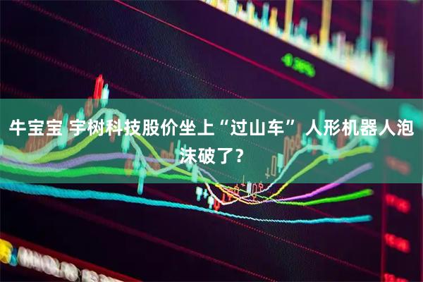 牛宝宝 宇树科技股价坐上“过山车” 人形机器人泡沫破了？
